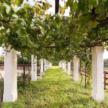 Tenuta Aphrodite Hébergement de vacances