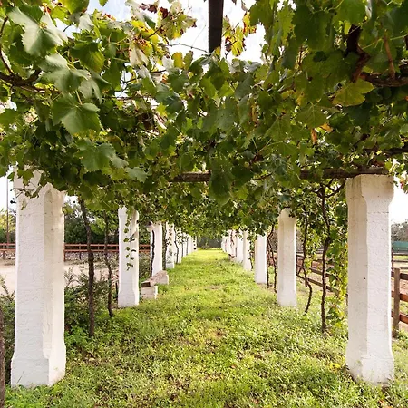 Tenuta Aphrodite بيت للعطل *